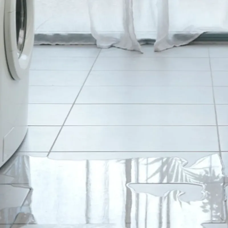 Appliance Leak Cleanup in Fairport, NY
