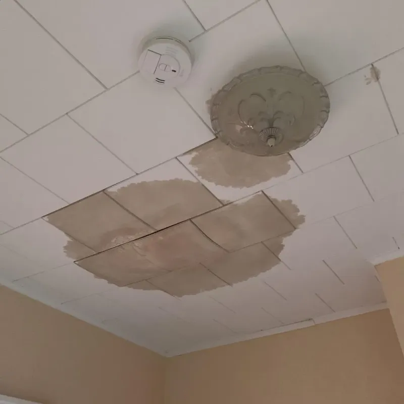 Ceiling Water Damage Repair in Fairport, NY