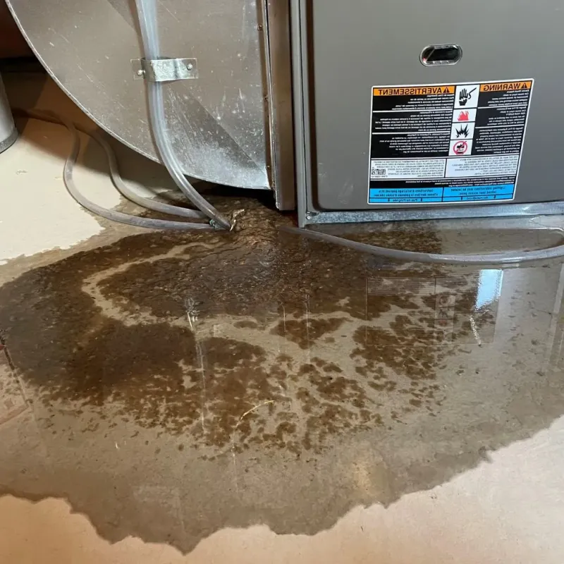 Pipe Burst and Leak Restoration in Fairport, NY
